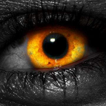 Das Auge des Typhon